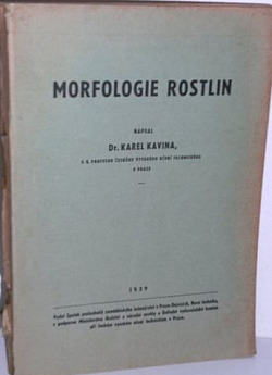 Morfologie rostlin