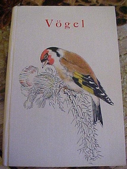 Vögel