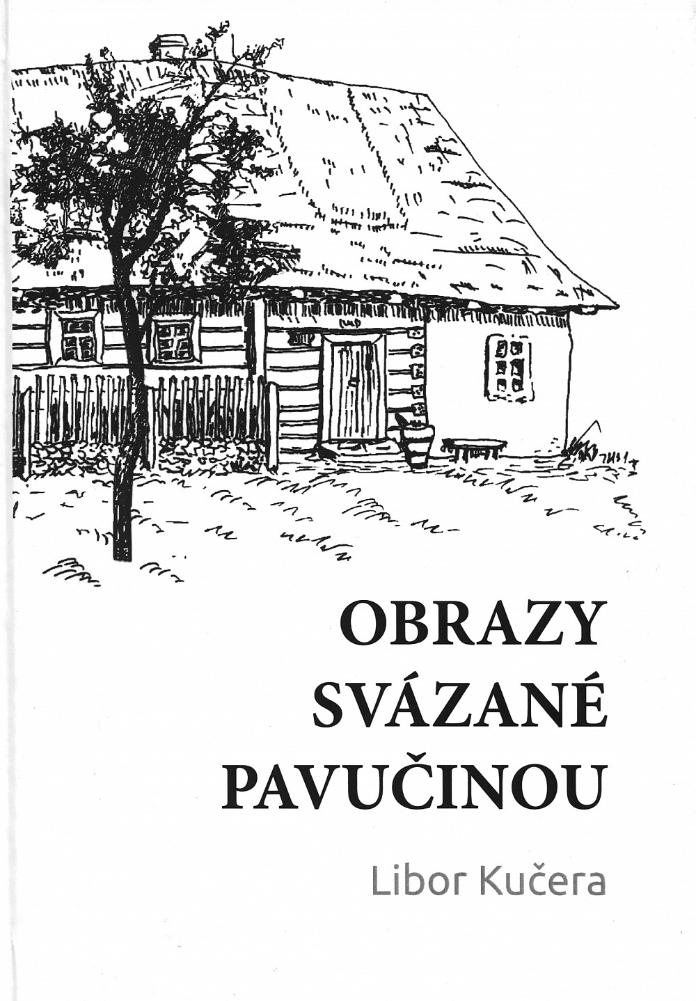 Obrazy svázané pavučinou