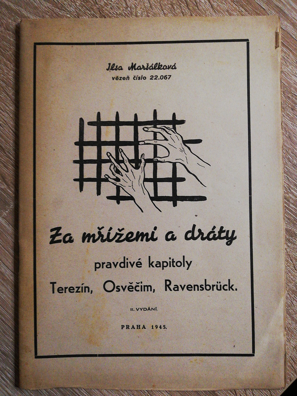 Za mřížemi a dráty – Pravdivé kapitoly: Terezín, Osvěčim, Ravensbrück