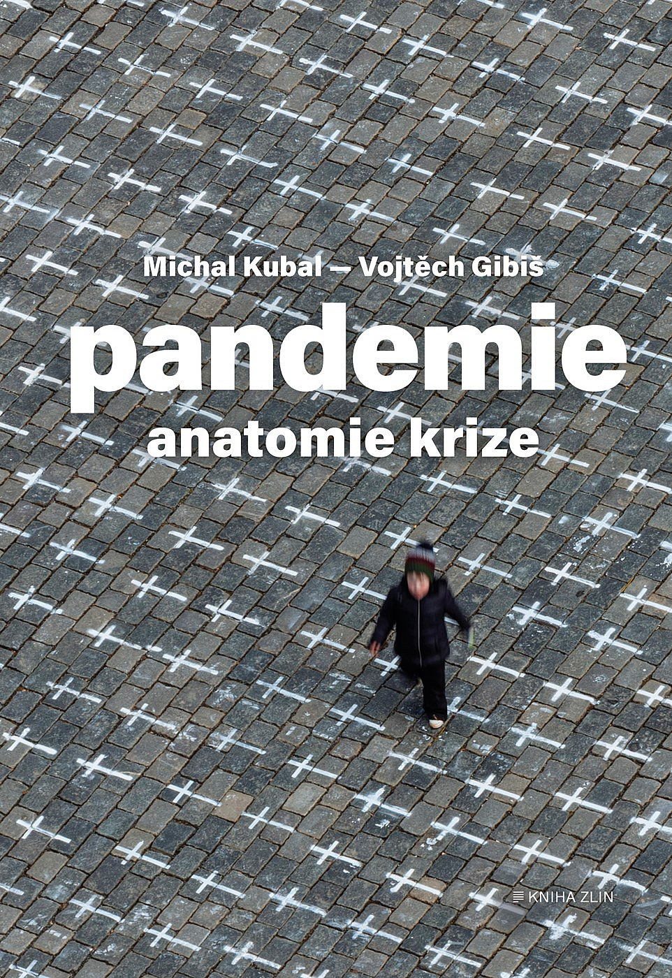 Pandemie: Anatomie krize