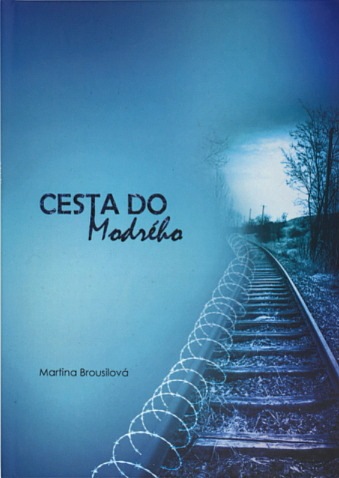 Cesta do modrého