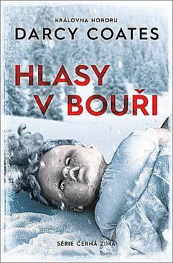 Hlasy v bouři