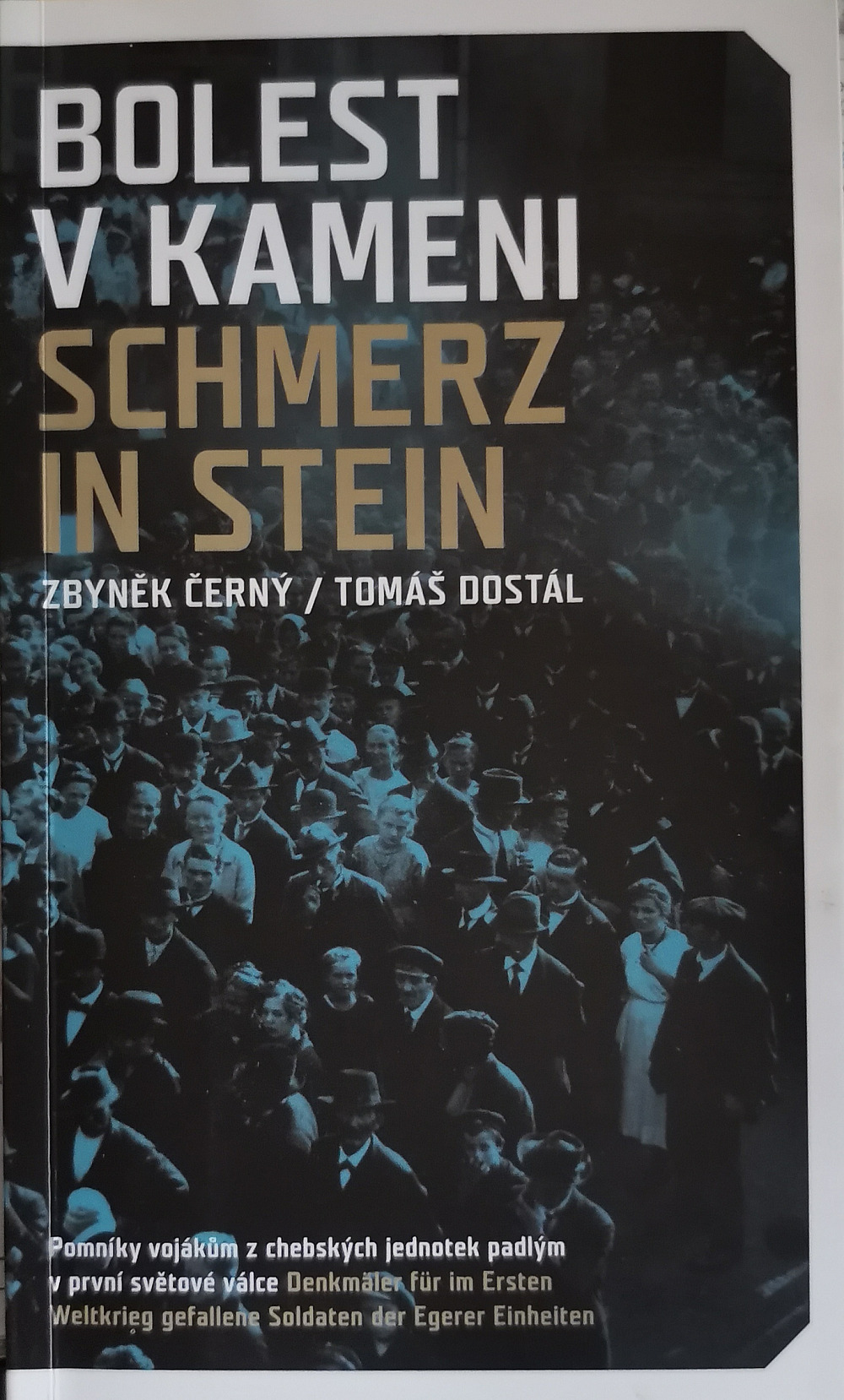 Bolest v kameni / Schmerz in Stein