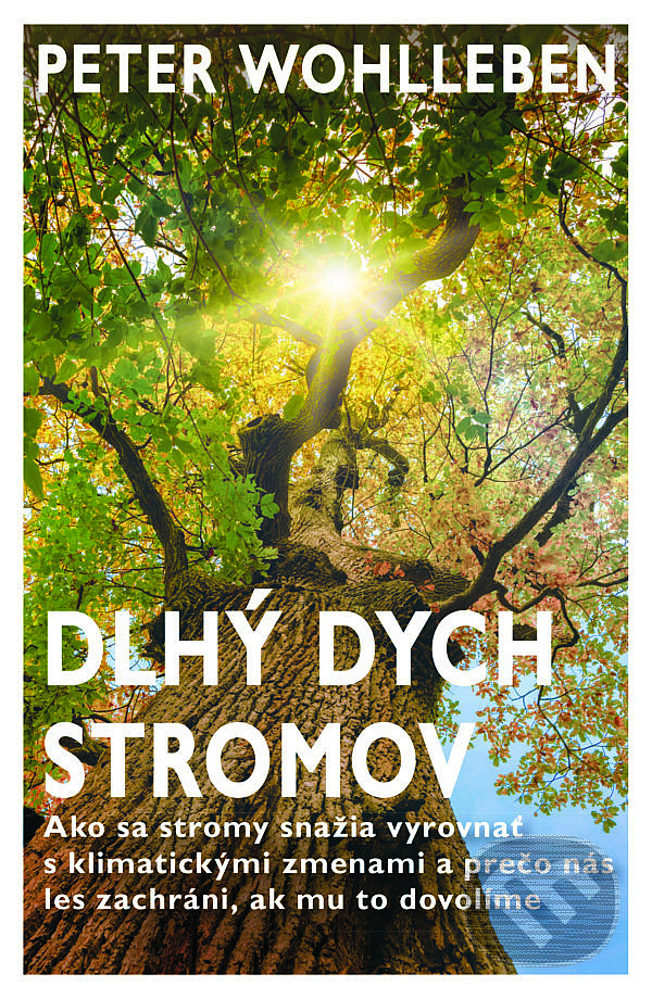 Dlhý dych stromov