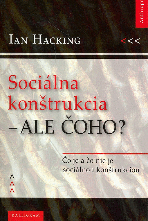 Sociálna konštrukcia - ale čoho?