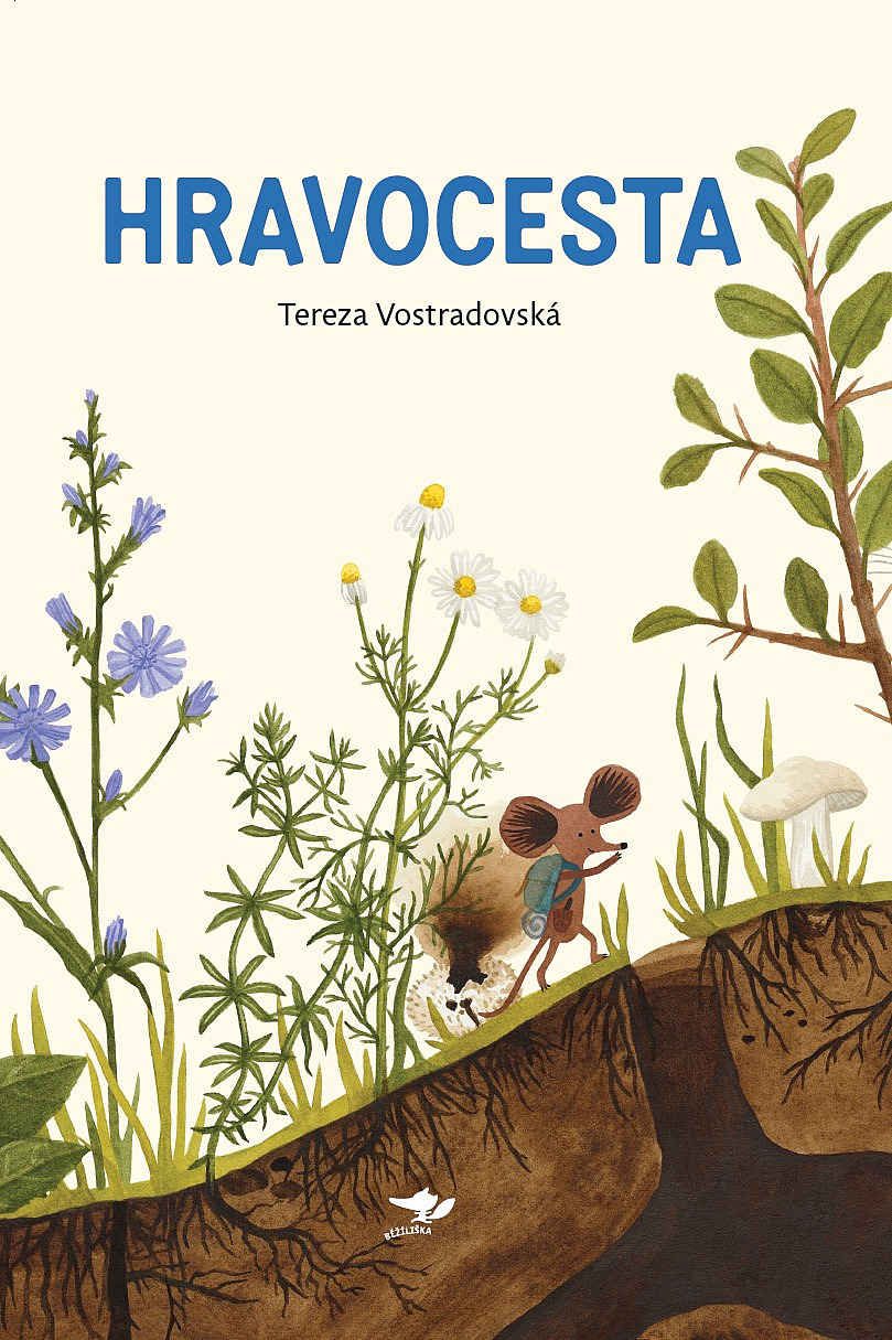 Hravocesta