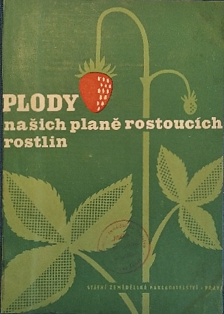 Plody našich planě rostoucích rostlin