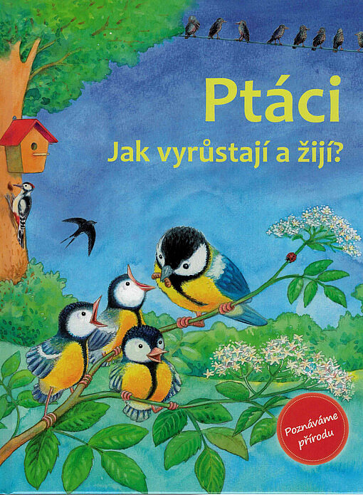 Ptáci: Jak vyrůstají a žijí?