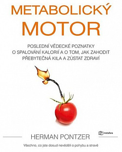 Metabolický motor