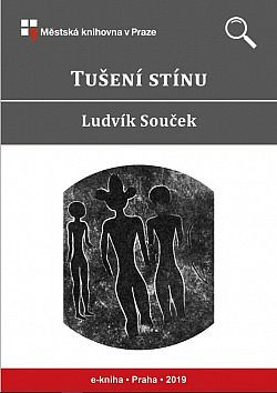 Tušení stínu