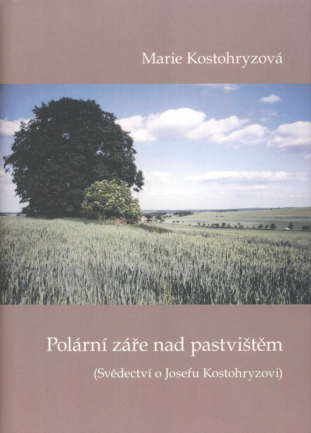 Polární záře nad pastvištěm