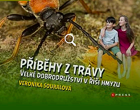 Příběhy z trávy: Velké dobrodružství v říši hmyzu