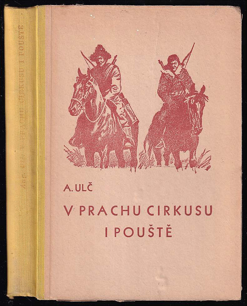 V prachu cirkusu i pouště : Příběh statečného chlapce