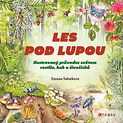 Les pod lupou