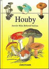 Houby