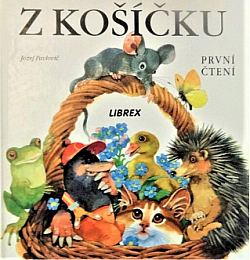 Z košíčku