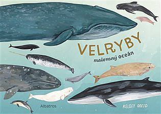 Velryby: Malovaný oceán