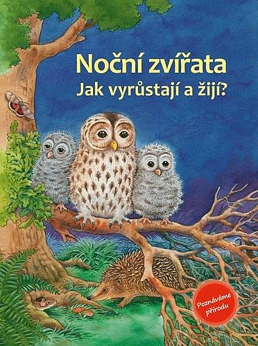 Noční zvířata. Jak vyrůstají a žijí?