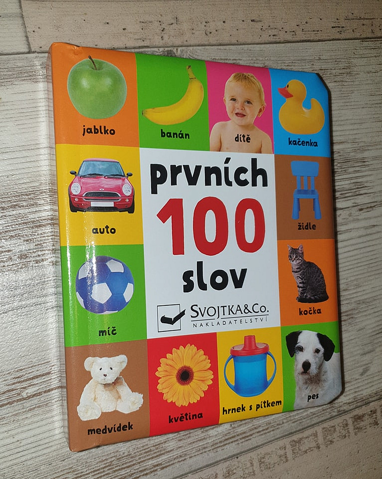 Prvních 100 slov