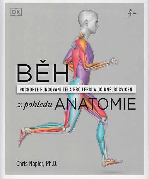 Běh z pohledu anatomie