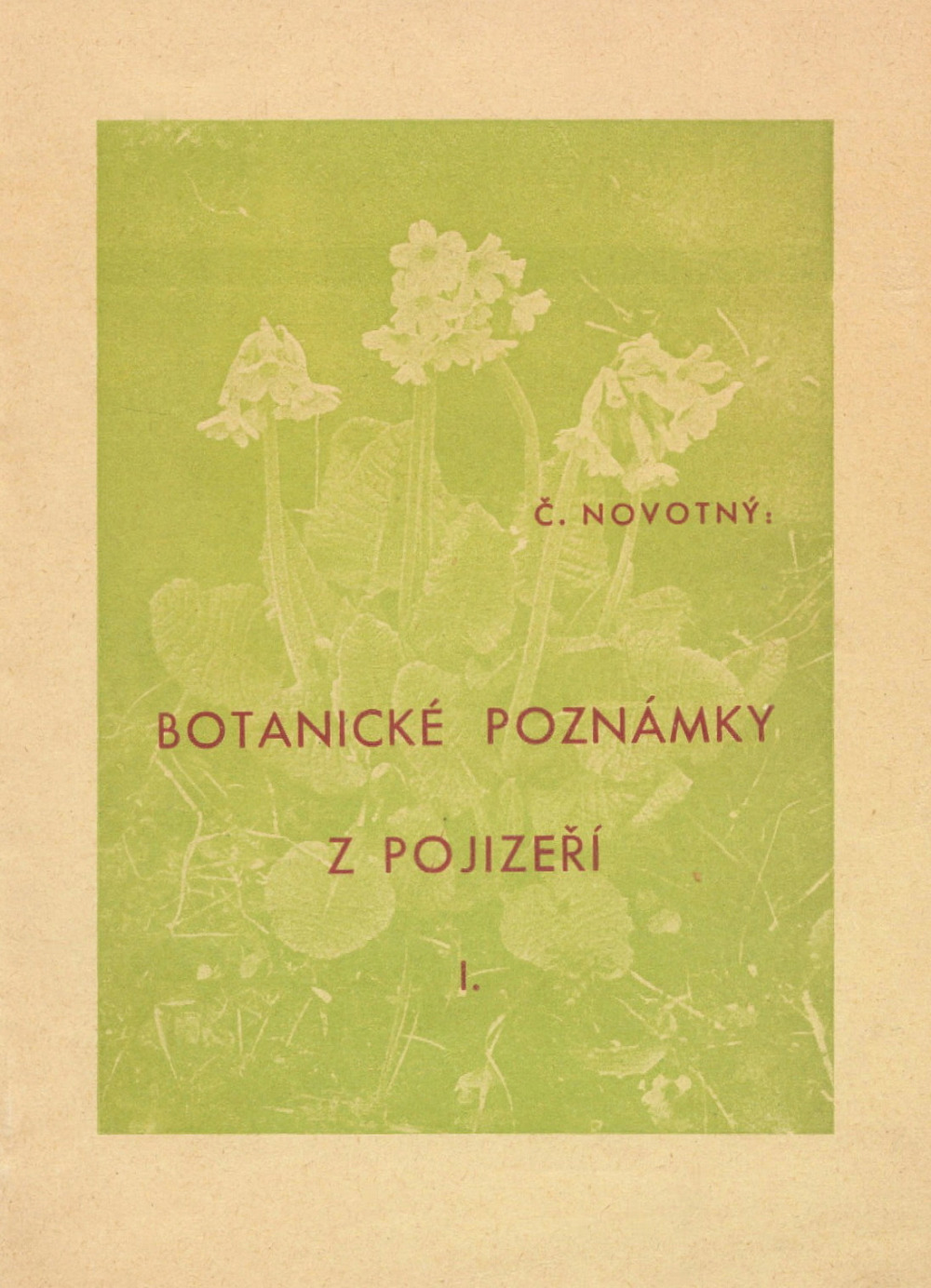 Botanické poznámky z Pojizeří I.