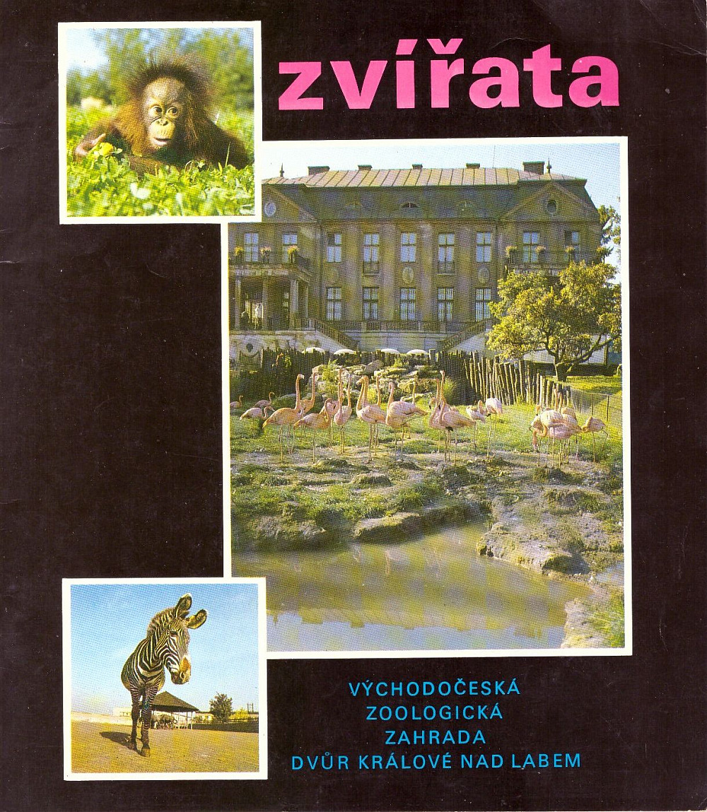 Zvířata: Východočeská zoologická zahrada Dvůr Králové nad Labem