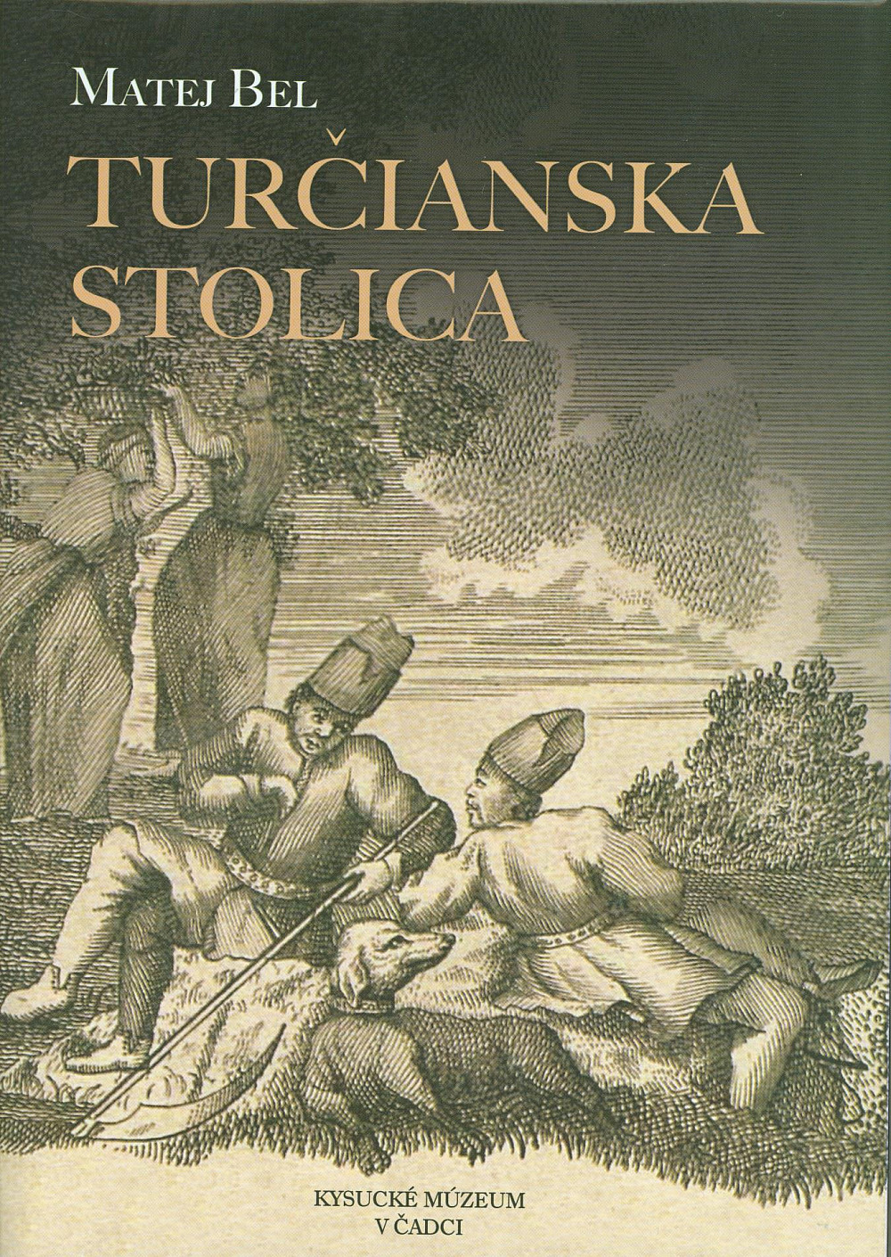 Turčianska stolica