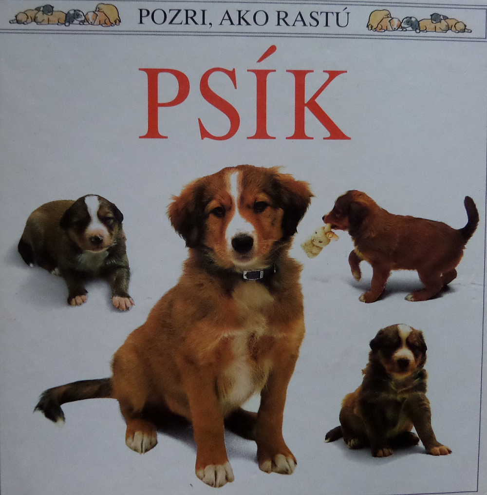 Pozri ako rastú - Psík