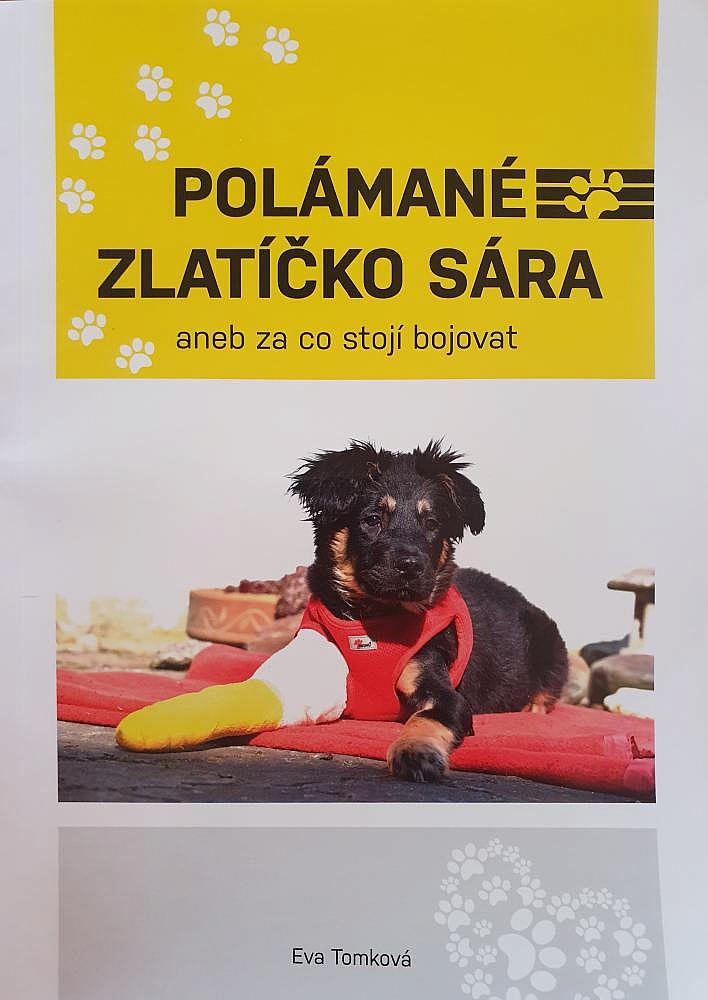 Polámané zlatíčko Sára aneb za co stojí bojovat