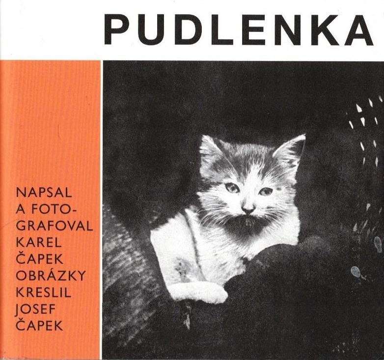 Pudlenka