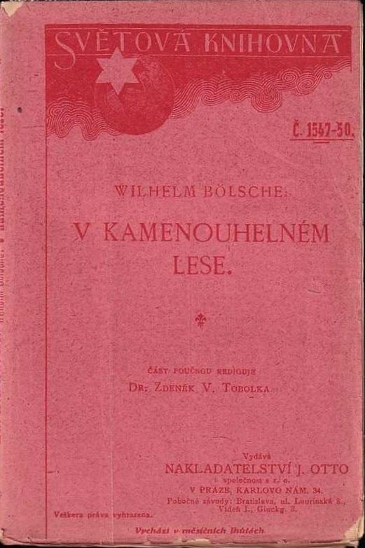 V kamenouhelném lese