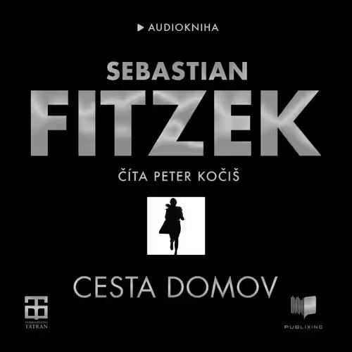 Cesta domov