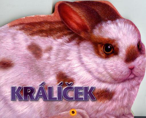 Králíček