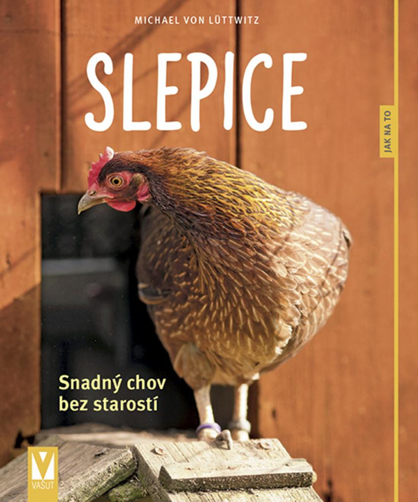 Slepice: Snadný chov bez starostí