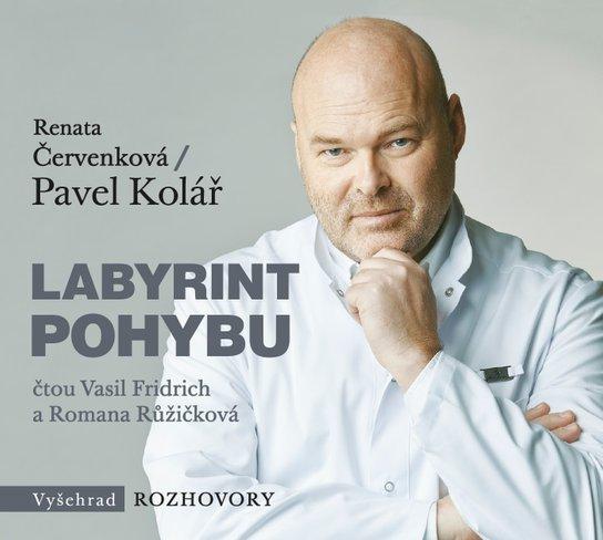 Labyrint pohybu