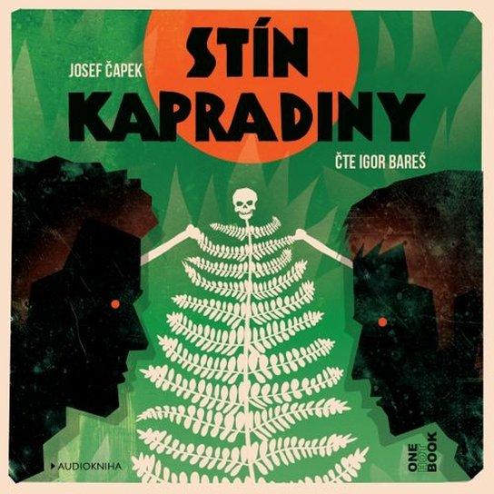 Stín kapradiny