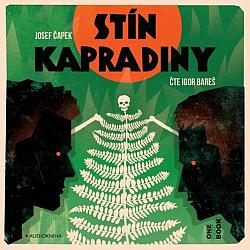 Stín kapradiny