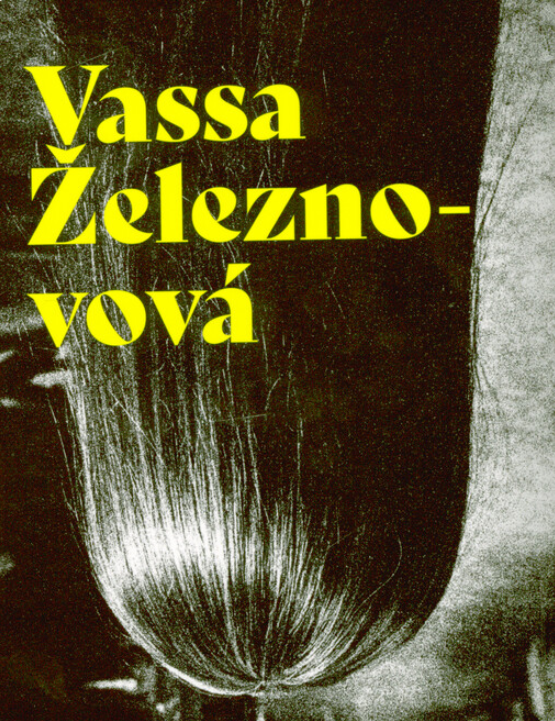 Vassa Železnovová (program)