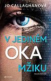 V jediném okamžiku – detektivka