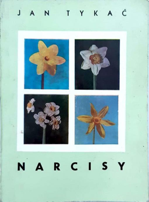 Narcisy