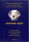 Anatomie kočky