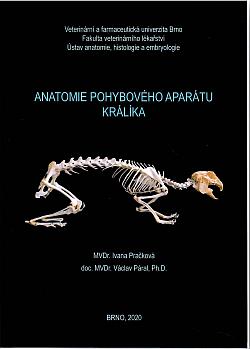 Anatomie pohybového aparátu králíka