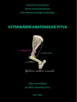 Veterinární anatomická pitva