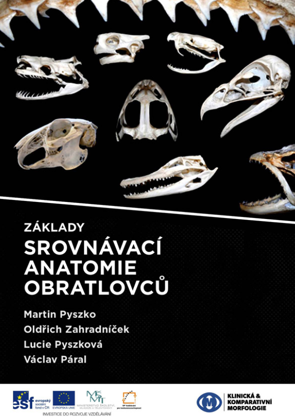 Základy srovnávací anatomie obratlovců