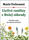 Liečivé rastliny z Božej záhrady