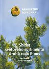 Sbírka světového sortimentu druhů rodu Pinus: Arboretum Sofronka