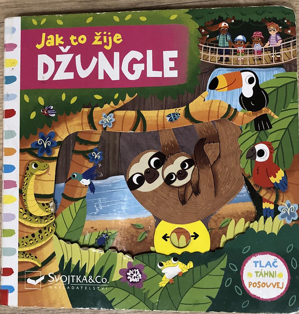 Jak to žije: Džungle