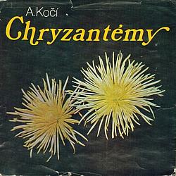 Chryzantémy