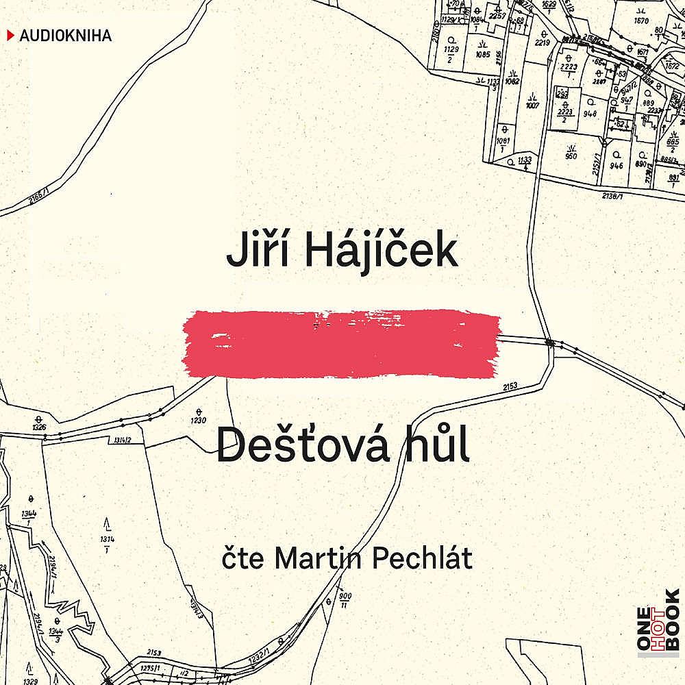 Dešťová hůl